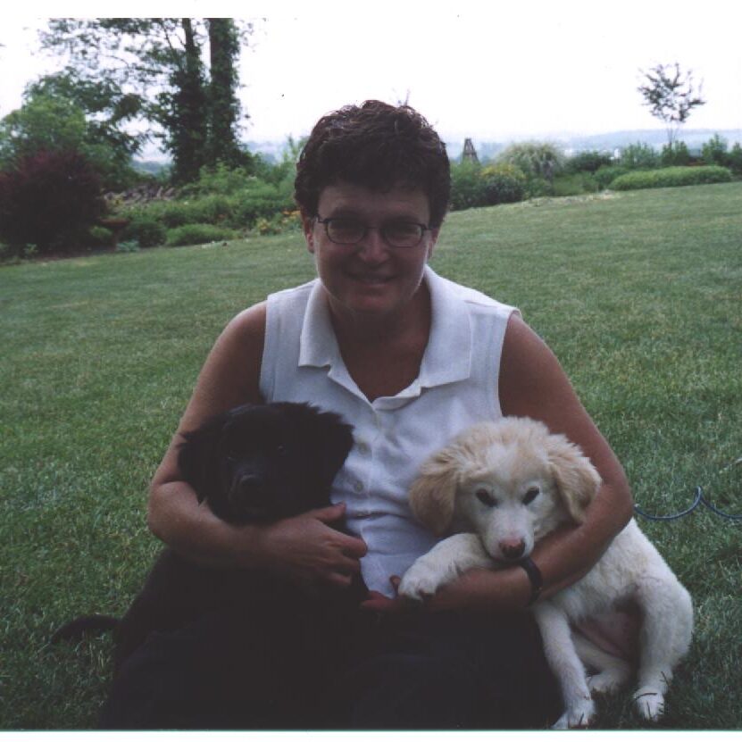 PJ Rankin-Hults Adaptations